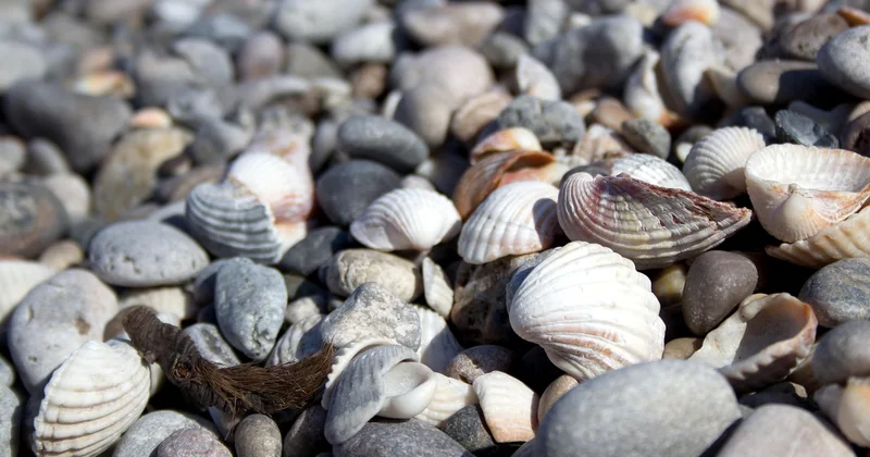 Pourquoi vos accessoires marins vieillissent mal